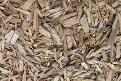 biomass boilers Woodlands Common